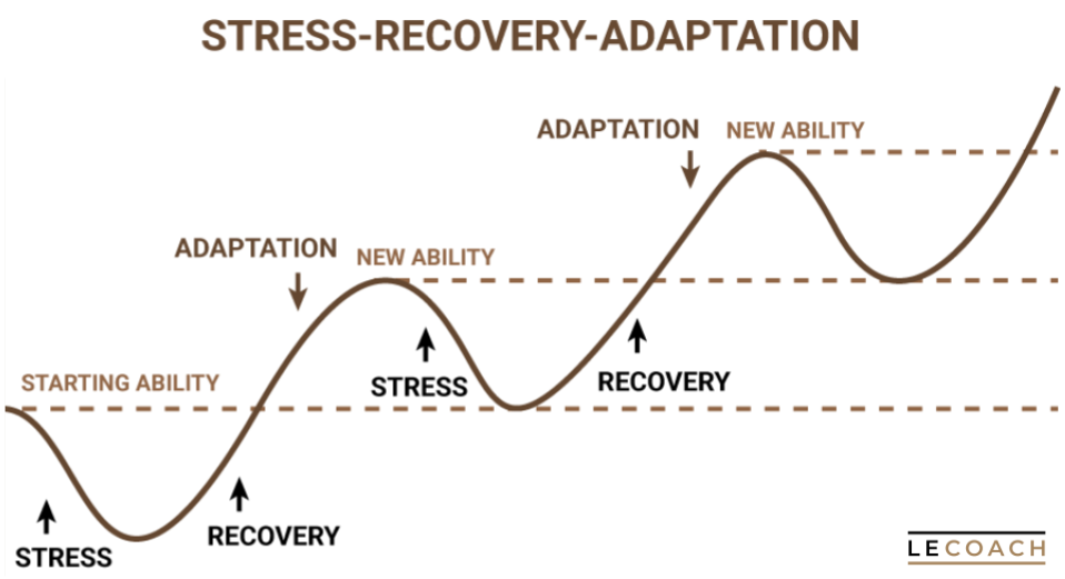Stress-recovery-adaptation cycle showing how training stress leads to recovery and super-compensation, progressively increasing fitness over time